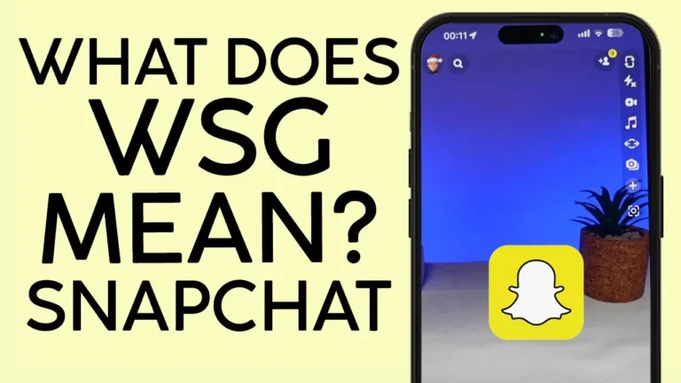 WSG Mean on Snapchat